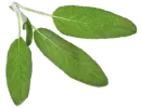 Spice8